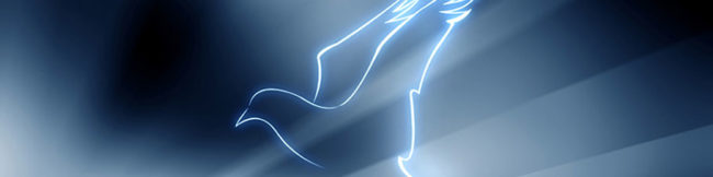 featureslider_paloma