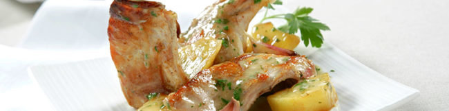 featureslider_conejo