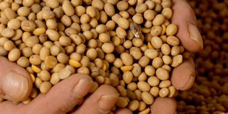 featureslider_granos