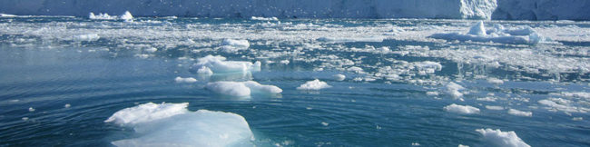 featureslider_hielo