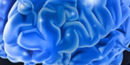 featureslider_cerebro