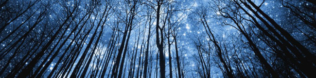 featureslider_noche