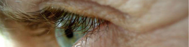 featureslider_ojo