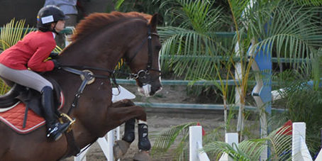 featureslider_caballo