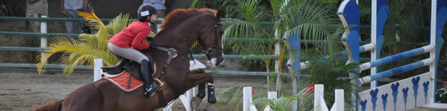 featureslider_caballo