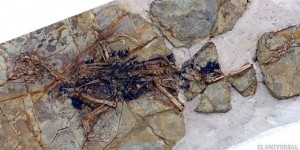 dinosaurios.520.360