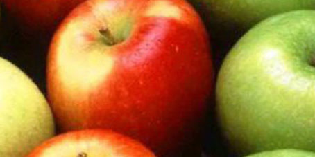 featureslider_manzanas