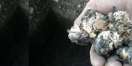 featureslider-asentamientos-humanos