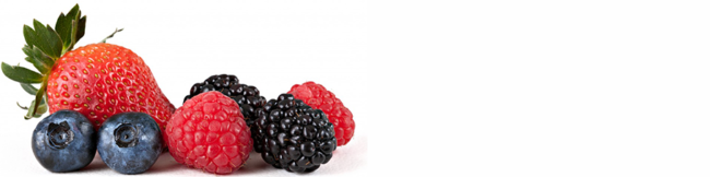 featureslider-frutas