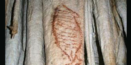 featureslider_pasado