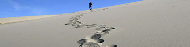 featureslider_desierto