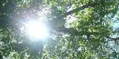 featureslider_luz