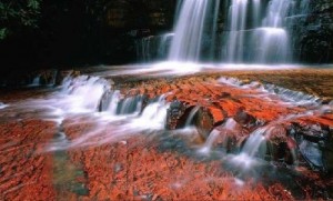 natur-canaima