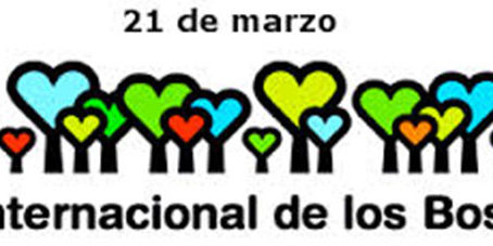 featureslider_bosques