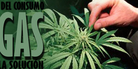 featureslider_despenalizacion_drogas