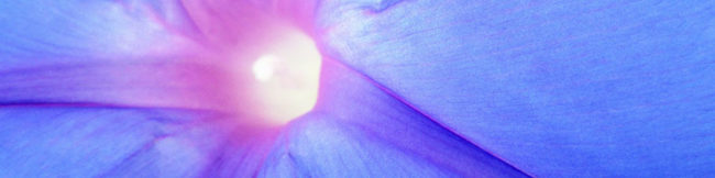 featureslider_lavida