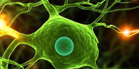 featureslider_neuronas