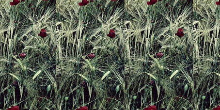 featureslider_placeres