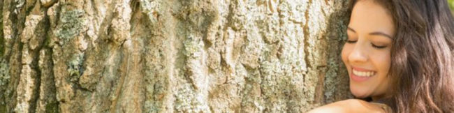 featureslider_arbol