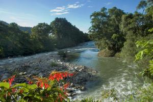 Barinas-Rafting-foto-Lerry-Cataño-31