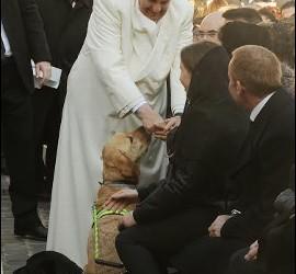 Papa Francisco y los perros