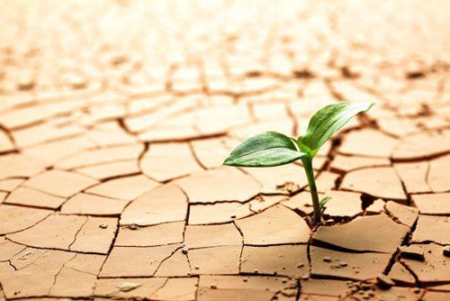 Resiliencia