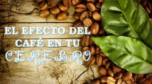 efecto-cafe-cerebro