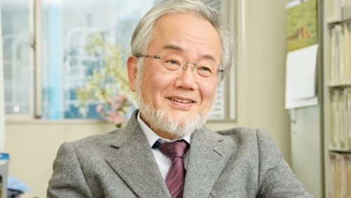 Yoshinori Oshumi 