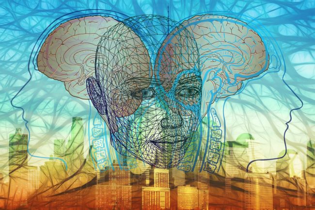 cerebro