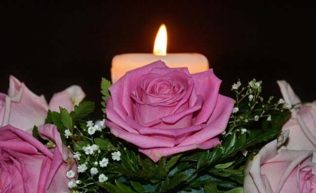 rosa-de-fuego