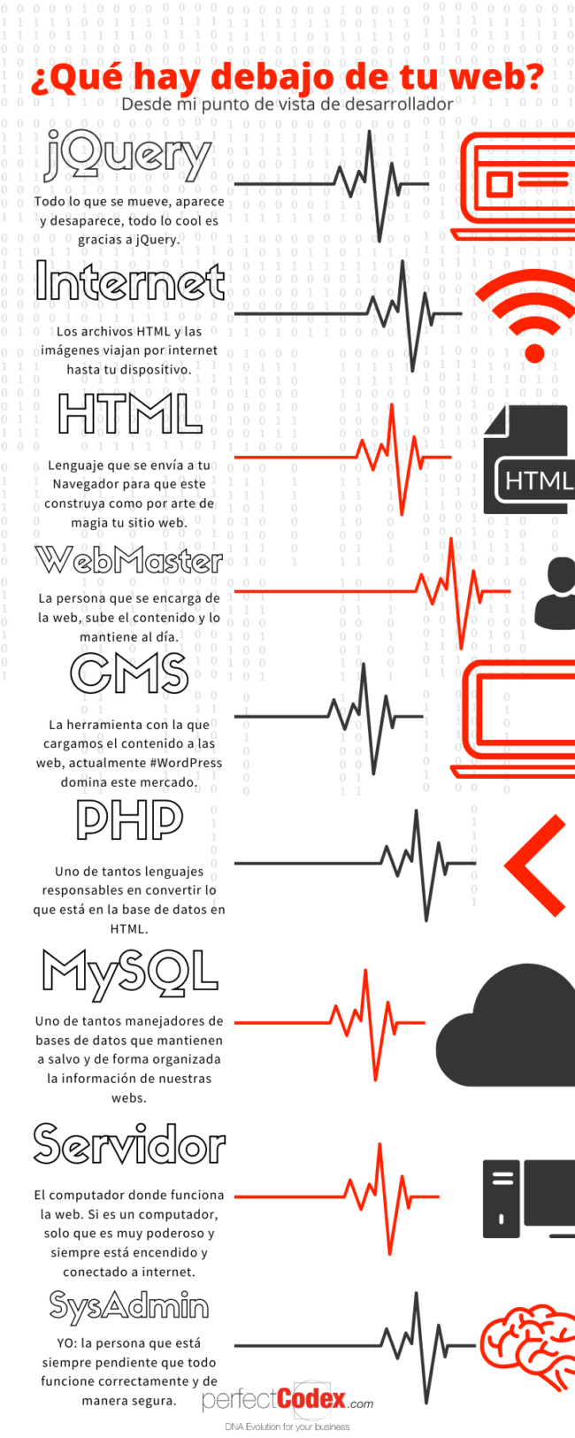 Infografía: ¿Qué hay debajo de tu web?