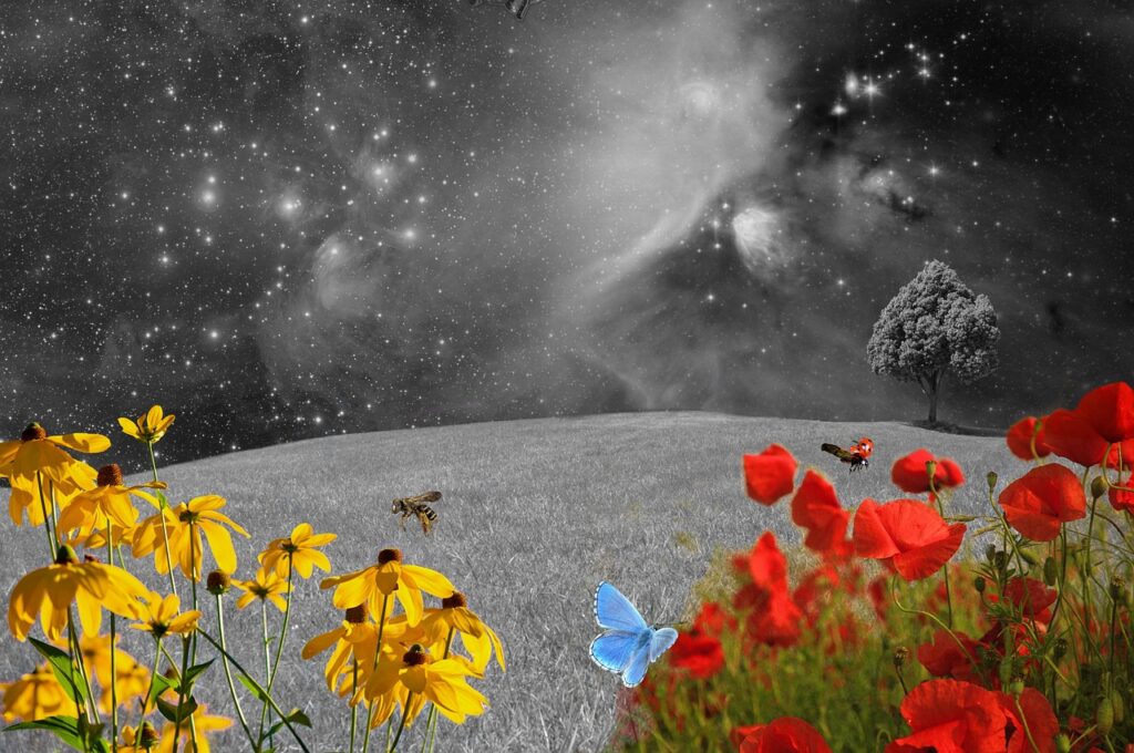 Florece