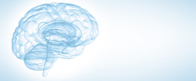 cerebral