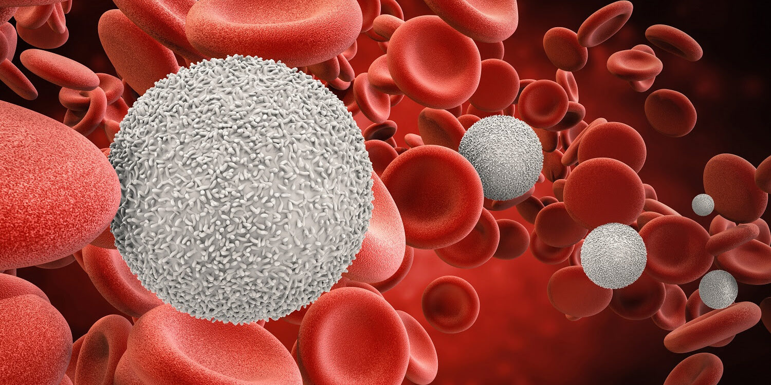 3d rendering white blood cells with red blood cells